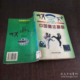 武术散打技法