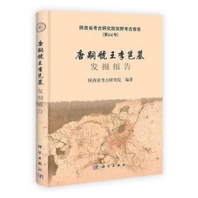临潼新丰-战国秦汉墓葬考古发掘报告（全三册）