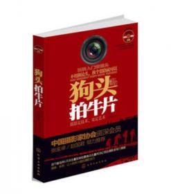 狗头拍牛片2 给摄影者的8堂美术入门课