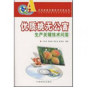 植物精油养生