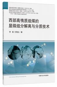 西部富水弱胶结地层红庆河煤矿深大立井建设技术9787564653101