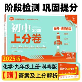 2024版理想树初中必刷题九年级下册 数学 课本同步练习题 苏科版