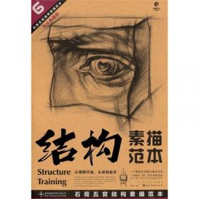 造型基础训练方法丛书·素描人物头像结构训练法：结构训练法（4）（黄金典藏版）