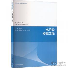 水污染物化控制原理与技术