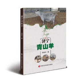 济宁，甏是味儿/山东城市特色文化丛书