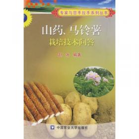 蔬菜高品质栽培入门与提高——种植业结构调整实用技术丛书
