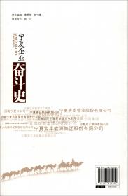 宁夏煤炭工业志（1991—2012）