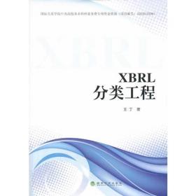 XBRL知识体验：理论、方法与实践(刘勤)