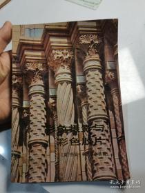 彩色图解恐龙百科全书 