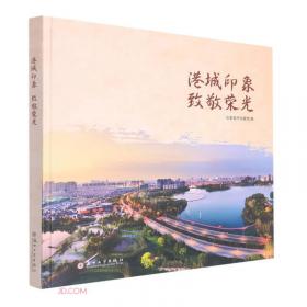跨越：张家港保税区发展二十年（1092-2012）