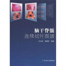 妇科肿瘤淋巴系统解剖与临床（第2版）