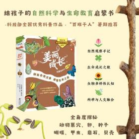 学会用技术解决问题：一个建构主义者的视角