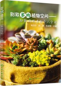 如烟女士去做生涯咨询