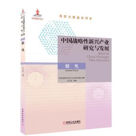中国核科学技术进展报告（第二卷）：中国核学会2011年学术年会论文集（第7册）