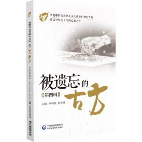 被遗忘的战争：咸丰同治年间广东土客大械斗研究 1854-1867