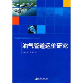 中国民营企业对外直接投资的实践及展望