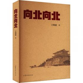 向北向北（中国专业作家作品典藏文库·石钟山卷）