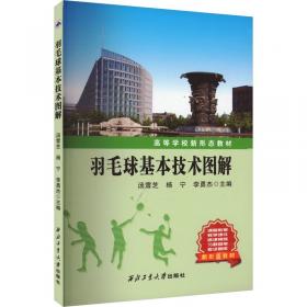 羽毛男孩（“冰心儿童文学获奖作品集”系列丛书，与原创文学对话，传递文学精品。让小读者在阅读的过程中，感受文学的魅力，培养写作兴趣的同时，提升写作水平。）