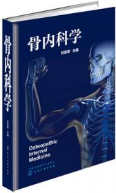 骨内科及骨外科诊断治疗学（中华骨科治疗学丛书）