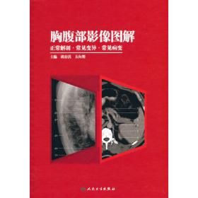 胸腹内伤——骨伤科临床诊疗丛书