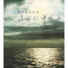 美丽的中国海岛--走向海洋丛书