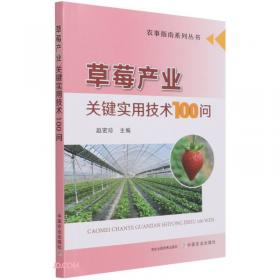 茄子产业关键实用技术100问/农事指南系列丛书