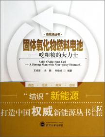 固体氧化物燃料电池技术