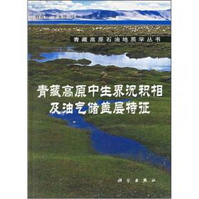 中国油气新区勘探（第六卷）：青藏高原石油地质