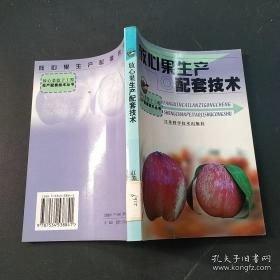 高职高专国际商务专业系列教材：商务英语