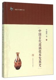中国南方古玻璃研究:2002年南宁中国南方古玻璃研讨会论文集:proceedings of 2002 Nanning symposium on ancient glasses in Southern China