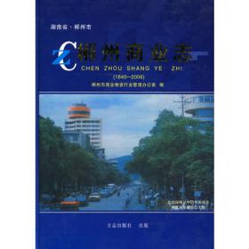郴州市志（1989-2005套装上中下册）