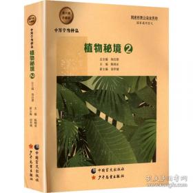 植物精油养生