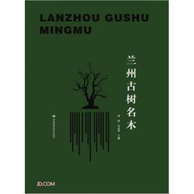 兰州：大城无小事（兰州市女作家“三俊”作品集）