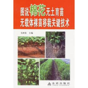 中国棉花生产景气报告