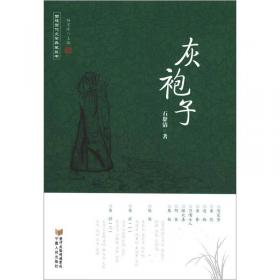 回族当代文学典藏丛书 杨宏峰作品：关于温柔的消息