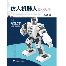 仿人机器人开发指南(异步图书出品)