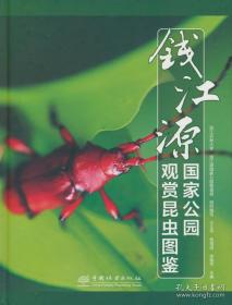 钱江新城20年图说