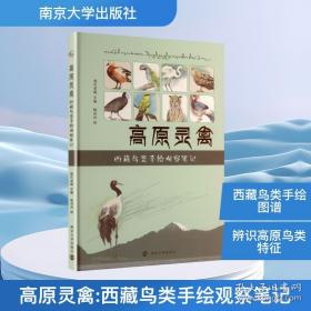 高原情：杜滋龄水墨画集