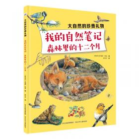 大自然的珍贵礼物：水滨四季漫步——从小溪到大海 少儿科普 河北少儿出版社 新华正版