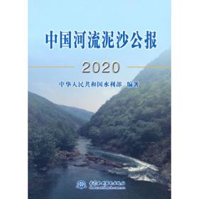 2021中国水利发展报告