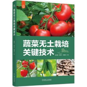 蔬菜水果文学情爱词典