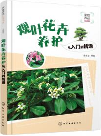 观叶植物（彩图版）