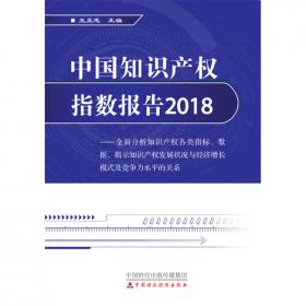 中国知识产权指数报告2014