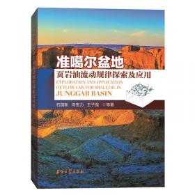 准噶尔盆地油气勘探开发系列丛书：准噶尔盆地烃源岩与油气地球化学