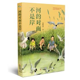 暖暖的星星索/流金百年中国儿童文学必读