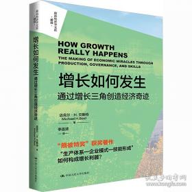 学会用技术解决问题：一个建构主义者的视角