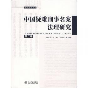 中国疑难刑事名案法理研究（第5卷）
