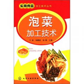 实用食品加工技术丛书：豆腐制品加工技术