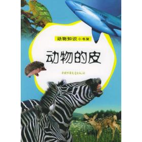 动物的翅膀——动物知识小书架