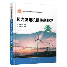 风力发电机组设计导则（原书第2版）